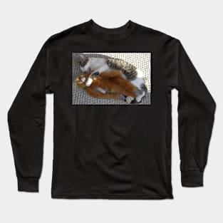 Kitten with his Monkey Long Sleeve T-Shirt